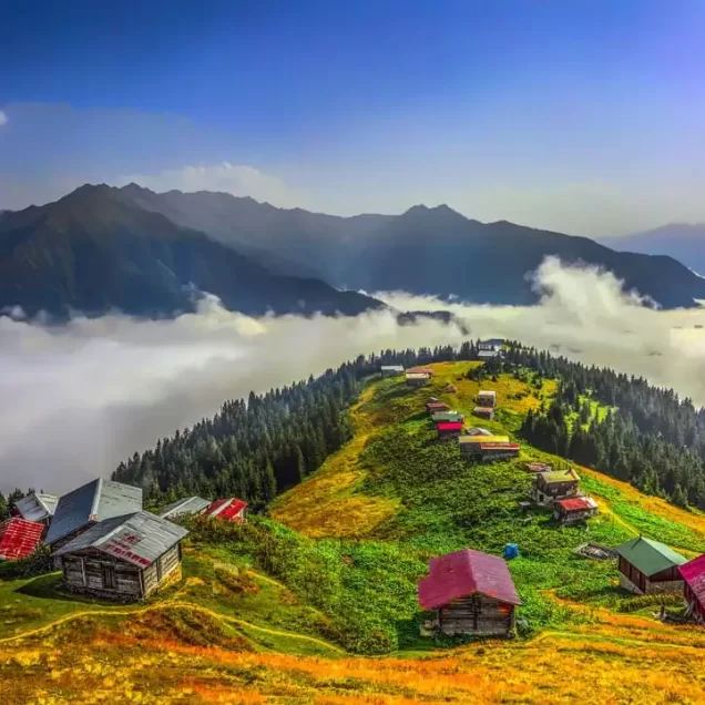 Rize