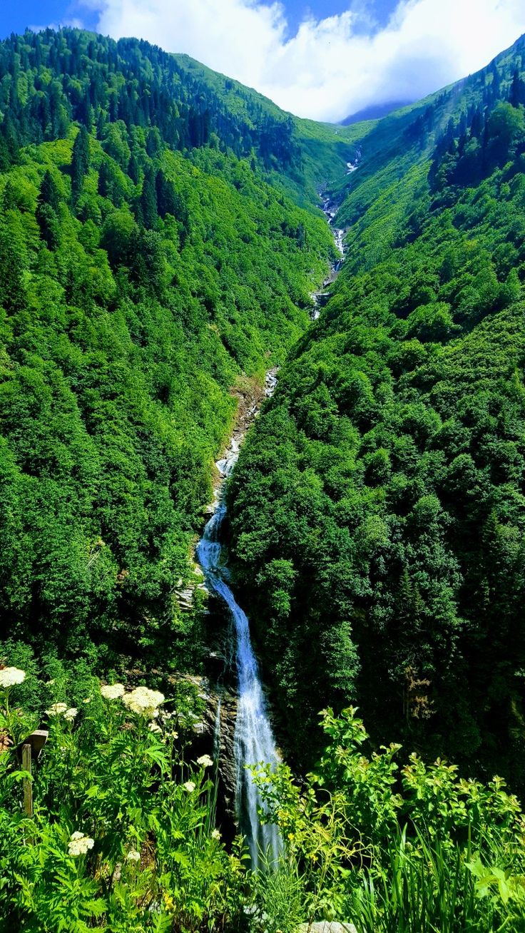Karadeniz Balayı Paketi, Karadeniz Balayı Otelleri, Karadeniz Balayı Fırsatları, Karadeniz Otelleri, Türkiye Balayı Otelleri, Balayı Otelleri, Karadeniz Lüks Balayı Otelleri , Karadeniz Lüks Balayı, Rize Balayı Otelleri, Trabzon Balayı Otelleri, Rize Balayı Paketleri